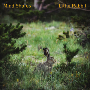 日本人屁股眼交
