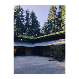 日本人屁股眼交
